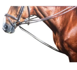 Dy'on Rubber Lined Hunter Draw Reins -Equine Worlds draw reins hunter grip brown horseW W008C dyon 35929.1626810108