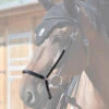 In Horse We Trust Drop Noseband 2 In Horse We Trust Drop Noseband -Equine Worlds drop noseband black detail DROP NOSEBAND in horse we trust 89434.1658866302