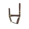 Perri's Economy Leather Halter 2 Perri's Economy Leather Halter -Equine Worlds economy leather halter horse havana perris 49002.1587672811