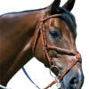Edgewood Raised Fancy Stitch Padded Figure 8 Bridle -Equine Worlds edgewood raised fancy stitch padded figure 8 bridle 83040.1596060982