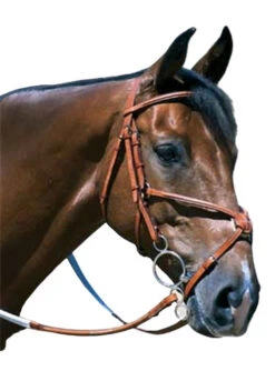 Edgewood Raised Fancy Stitch Padded Figure 8 Bridle