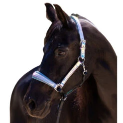Halter Ego Elsa Halter -Equine Worlds elsa halter neon.blue halter ego 47152.1682705317