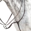 Prestige EVO Running Martingale -Equine Worlds evo running martingale brown side D37 prestige 14194.1660605911