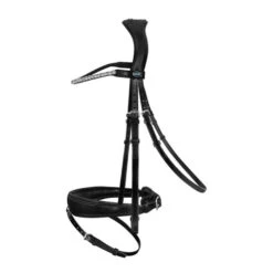 Passier Favorite By Ingrid Snaffle Bridle -Equine Worlds favorite by ingrid snaffle black hero 813 passier 21114.1679595602