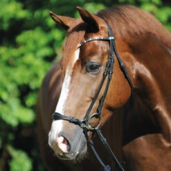 Kavalkade Fiala Drop Noseband Bridle -Equine Worlds fiala drop noseband bridle black horse 19043 kavalkade 70982.1607126906