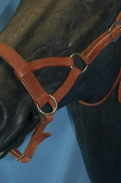 Buckaroo Leather Flat Nose Sidepull -Equine Worlds flat nose sidepull buckaroo leather 47 39765 58268.1527296611