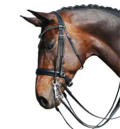 Passier Fortuna Double Bridle -Equine Worlds fortuna double bridle grey brow horse2 860 passier 45890.1690319789