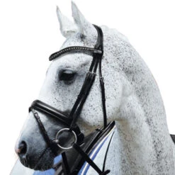 Passier Fortuna Snaffle Bridle -Equine Worlds fortuna snaffle black flash horse 855 passier 93690.1690299327