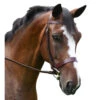 KL Italia Foxwell Hunt Bridle -Equine Worlds foxwell hunt bridle kl select 68881.1643851982