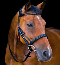 Stubben Freedom Bridle -Equine Worlds freedom bridle flash black Rside 2125003RFS stubben 63934.1630187773