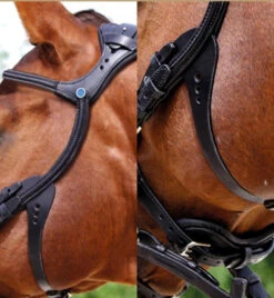 Stubben Freedom Bridle -Equine Worlds freedom bridle flash black cheek 2125003RFS stubben 88834.1630187857