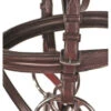 Nunn Finer Galway Snaffle Bridle -Equine Worlds galway bridle cheeks nunn finer 64894.1587245060