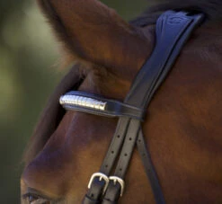 Halter Ego Galway Jumper Bridle -Equine Worlds galway bridle dark brown crown halter ego 22166.1690244085