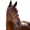 Halter Ego Galway Jumper Bridle -Equine Worlds galway jumper bridle nut brown hero halter ego 78802.1690244061