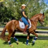 DSB Glossy Patent Dressage Sport Boot -Equine Worlds glossy navy boots lifestyle dsb 56448.1592335795