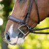 KL Select Hampton Hunter Bridle -Equine Worlds hampton hunter bridle brown cheekpiece 110502 kl select 45838.1668721712