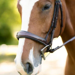 KL Select Hampton Hunter Bridle -Equine Worlds hampton hunter bridle brown noseband 110502 kl select 22107.1668721715
