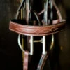 Beval Heritage Wide Fancy Stitch Bridle -Equine Worlds heritage wide cavesson bridle noseband beval 09751.1675118334