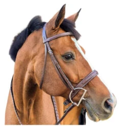 Beval Heritage Wide Fancy Stitch Bridle -Equine Worlds heritage wide cavesson bridle right w beval 11569.1675120718