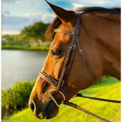 Beval Heritage Wide Fancy Stitch Bridle -Equine Worlds heritage wide fancy laced anut side 1066100 beval saddlery 95595.1675118359