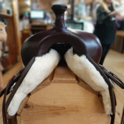 High Horse Lockhart Cordura Trail Saddle By Circle Y -Equine Worlds high horse lockhart cordura trail saddle front marys circle y 62411.1579137732