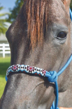 Professional's Choice Beaded Rope Halter & 10 Ft Lead -Equine Worlds hrb tur 92687 77725.1527298962