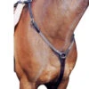 Nunn Finer Elastic Hunt Breastplate 2 Nunn Finer Elastic Hunt Breastplate -Equine Worlds hunt breastplate elastic 83 nunn finer 65441.1643842987