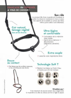 In Horse We Trust Flash Noseband With Crown 10 In Horse We Trust Flash Noseband With Crown -Equine Worlds in horse we trust flash nose graphic 53912.1541187077