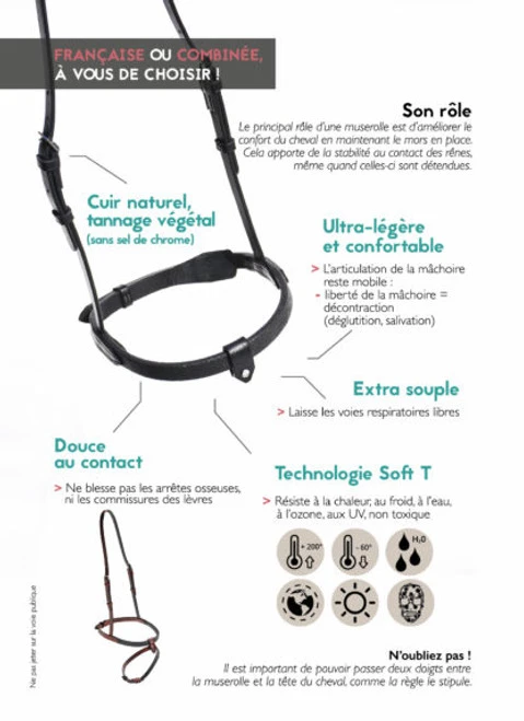 In Horse We Trust Flash Noseband With Crown 6 In Horse We Trust Flash Noseband With Crown - Image 4