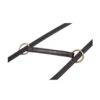Nunn Finer Irish Martingale -Equine Worlds irish martinglae on reins nunn finer 48713.1643843272