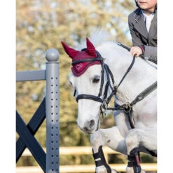 LeMieux Junior Pro Fly Bonnet -Equine Worlds junior pro fly bonnet burgundy lifestyle 5834 lemieux 46182.1670603318