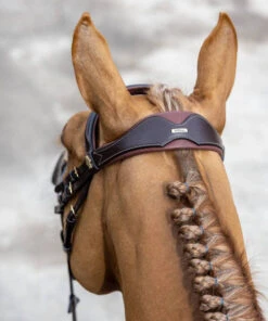 LeMieux Kudos Competition Bridle -Equine Worlds kudos competition bridle havana crown IT02645007 lemieux 89346.1689278116