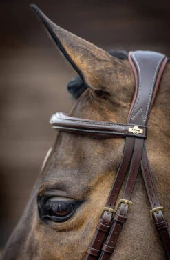 LeMieux Kudos Competition Bridle -Equine Worlds kudos competition bridle havana side brow IT02645007 lemieux 18470.1689278111