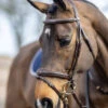 LeMieux Kudos Competition Bridle 2 LeMieux Kudos Competition Bridle -Equine Worlds kudos competition bridle havana side2 IT02645007 lemieux 07439.1689278569