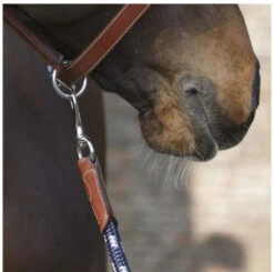 Antarès Lead Rope -Equine Worlds lead rope navy brown clip LIC2 antares 27398.1643754806