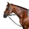 Dy'on Leather Draw Reins -Equine Worlds leather draw reins brown WO08ABR dyon 79607.1631386594