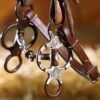 Mikmar Legacy Clover Bit -Equine Worlds legacy clover bit on headstall LEG300 mikmar 77933.1581617900