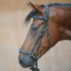 Kavalkade Levana Drop Noseband Bridle -Equine Worlds levana drop noseband bridle black kavalkade 19037 68336.1555698675