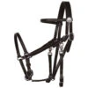 Tucker Halter Bridle Lite -Equine Worlds lite halter bridle black chrome 0109 0102 tucker 64799.1671830939