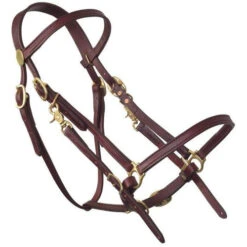 Tucker Halter Bridle Lite -Equine Worlds lite halter bridle brown brass 0317 1201 tucker 51846.1671830942