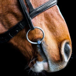 Fager Madeleine Titanium Jointed Loose Ring Bradoon -Equine Worlds madeleine titanium single joint bradoon horse fager 91453.1621118777