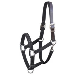 Schockemohle Memphis Fleece Lined Halter -Equine Worlds memphis breakaway black 1311 00020 schockemoehle 55437.1650664913