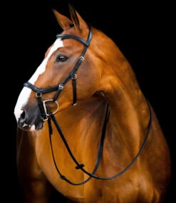 Horseware Ireland Horseware Micklem 2 Deluxe Competition Bridle -Equine Worlds micklem2 dlx competition black SBMUM2 K000 SC HW 63404.1689874464