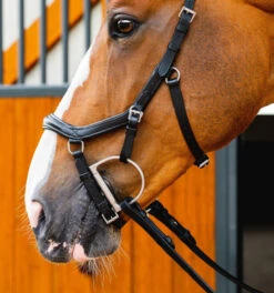 Horseware Ireland Horseware Micklem 2 Deluxe Competition Bridle -Equine Worlds micklem2 dlx competition black cheekpieceSBMUM2 K000 SC horseware ireland 23067.1689873947