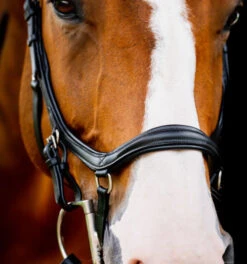 Horseware Ireland Horseware Micklem 2 Deluxe Competition Bridle -Equine Worlds micklem2 dlx competition black noseband SBMUM2 K000 SC horseware ireland 23455.1689873907