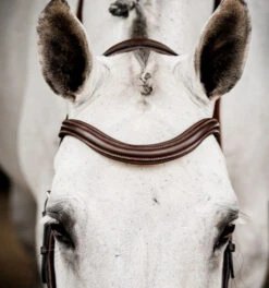 Horseware Ireland Horseware Micklem 2 Deluxe Competition Bridle -Equine Worlds micklem2 dlx competition havana browband SBMUM2 NAB0 SC horseware ireland 79266.1689874481