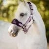 Mini LeMieux Vogue Halter & Lead Rope -Equine Worlds mini vogue headcollar fig pony lemieux 06965.1689972067
