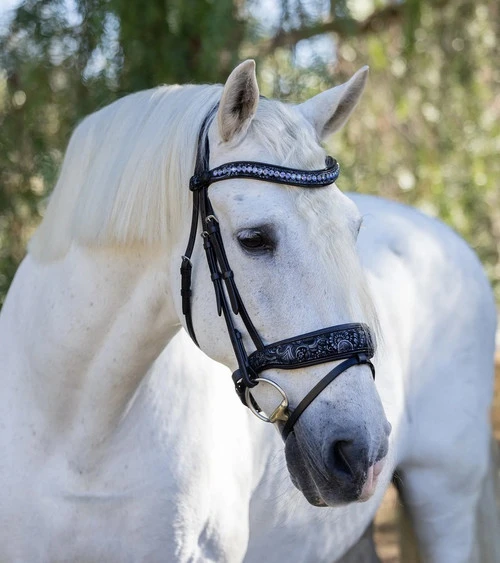 Halter Ego Munich Navy Floral Snaffle Bridle 4 Halter Ego Munich Navy Floral Snaffle Bridle - Image 2