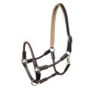 Waldhausen Nevada Hybrid Halter -Equine Worlds nevada hybrid halter brown gold 5050230 waldhausen 41556.1657228140