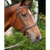 Nunn Finer Newmarket Shank Lead -Equine Worlds newmarket shank havana bay horse nunn finer 70404.1587245498